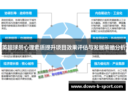 英超球员心理素质提升项目效果评估与发展策略分析
